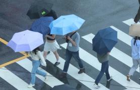 Weather Forecast: Nationwide Rain Expected on Sunday, Up to 150mm in Jeju Mountains