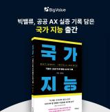 Big Value Publishes National Intelligence on Public AX Implementation