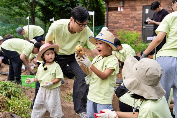 Employees' families harvesting potatoes in Yosun Village, Gangwon Province, on July 4