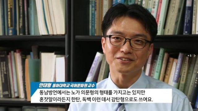 2019년 언어학자 안태형 동아대 교수가 동남방언에 대해 설명하는 모습 사진유튜브 채널 헬로tv뉴스 유튜브 영상 캡처