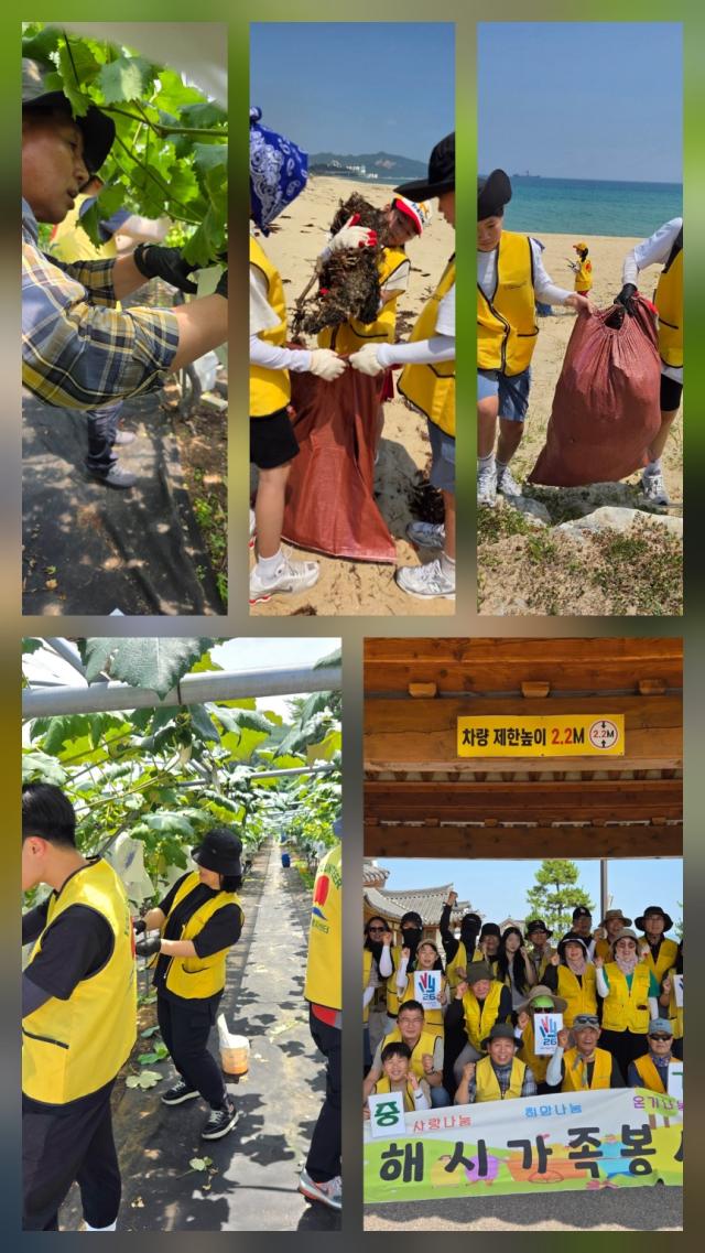 동해시가족봉사단이 나눔을 실천하고 있다 사진동해시가족봉사단