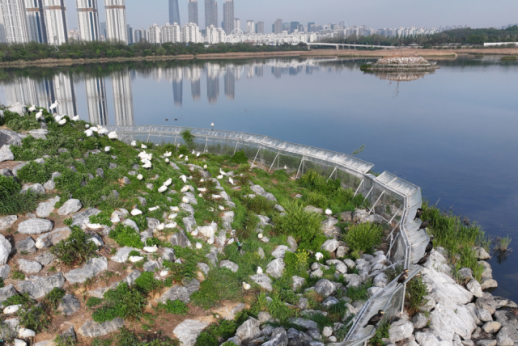 인천시, 세계 최초 IUCN 생물다양성 우수 인증...국제 생태도시 도약