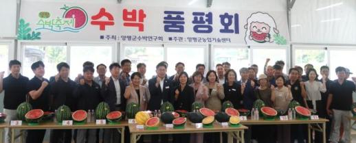 경기도, 양평 수박 신품종 평가회서 조생흑미 1위...상품화 속도