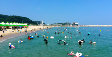 울진군, 바다·계곡·숲 품은 가족 여름휴가지로 주목