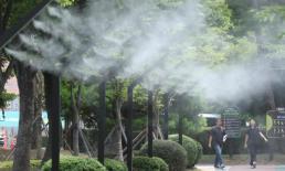 蒸笼模式开启 韩国上周末超200人中暑送医