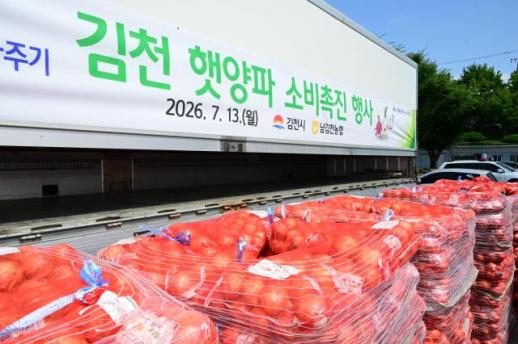 양파 농가 시름 던다…김천시 공직자들, 햇양파 7톤 완판