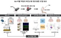 Nghiên cứu Hàn Quốc: Thủy châm y học cổ truyền có thể giúp giảm đau ở bệnh Parkinson