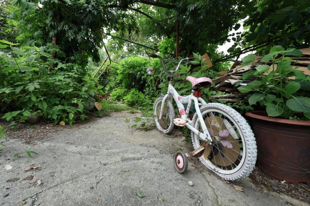 A childs bicycle with training wheels adorned with Barbie decals sits abandoned amid overgrown vines and stacked cardboard in Guryong Village Seoul South Korea AJP Han Jun-gu