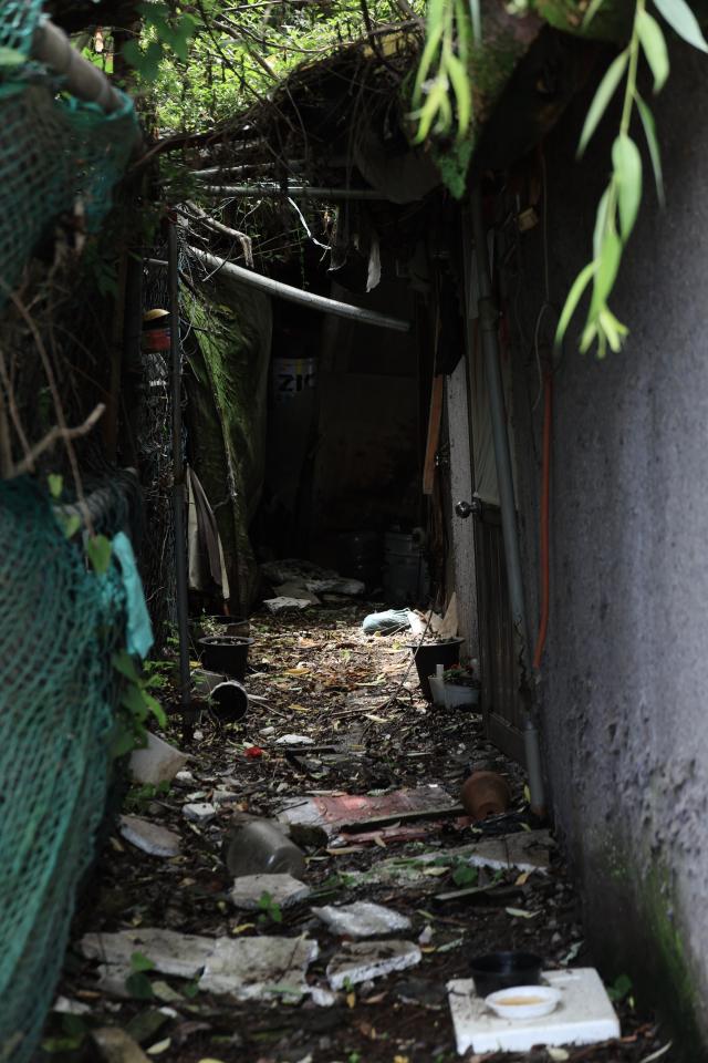  A cluttered overgrown pathway leads to a doorway tucked beneath tree branches and tarps in Guryong Village Seoul South Korea AJP Han Jun-gu