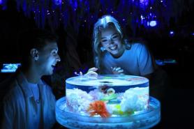 Lotte World Aquarium unveils Aqua Gallery: Mulbit Garden ahead of opening