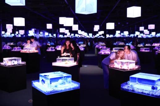 Lotte World Aquarium unveils Aqua Gallery: Mulbit Garden ahead of opening