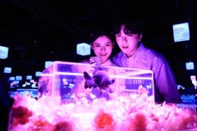 Lotte World Aquarium unveils Aqua Gallery: Mulbit Garden ahead of opening