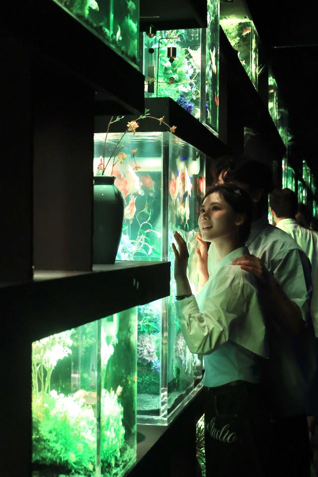 Lotte World Aquarium unveils Aqua Gallery: Mulbit Garden ahead of opening