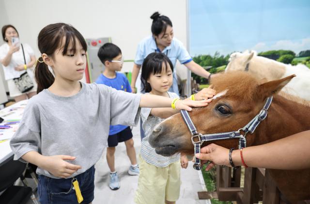 Job fair in Seoul helps young people discover career paths