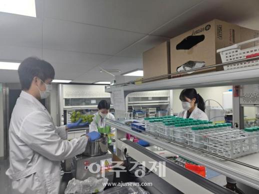 광주에서 잔류농약 기준치 넘은 농산물 1.5톤 폐기  