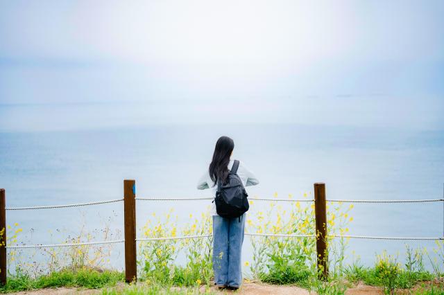 调查：韩国旅游消费呈现"疗愈"与"体验"双重趋势