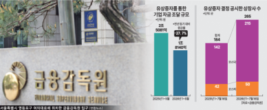 쏟아지는 금감원 정정 요구…높아진 유증 문턱에 상장사들 '곤혹' 