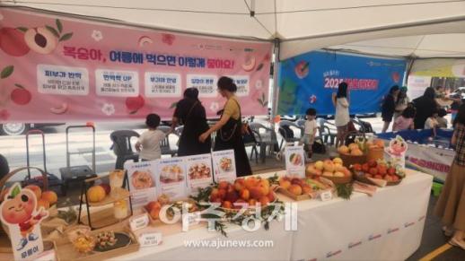 농협경제지주, 오는 25일부터 복숭아데이 특별 할인행사 진행