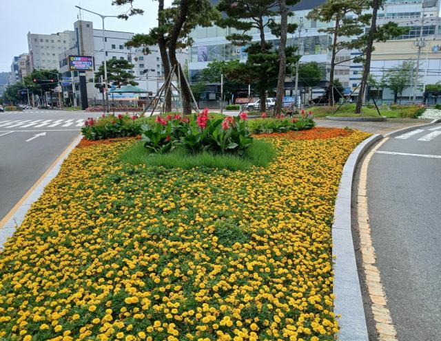 김해시 내외동사진김해시