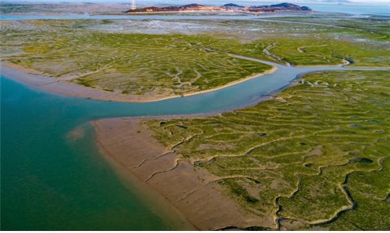 Tando Bay Getbol part of the Sinan-Muan Tando Bay component of the UNESCO World Heritage property Getbol Korean Tidal Flats lies exposed at low tide in Muan South Jeolla Province Courtesy of the Ministry of Foreign Affairs