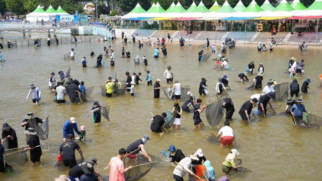 봉화은어축제 은어 맨손잡이 장면 사진봉화군