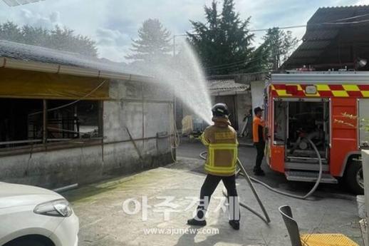 찌는 더위에 사람도 가축도 고통...폭염피해 속출