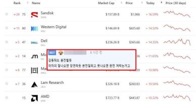 "오늘 국장 비상"?…美 반도체주 '급락'에 삼성전자·SK하이닉스 초긴장