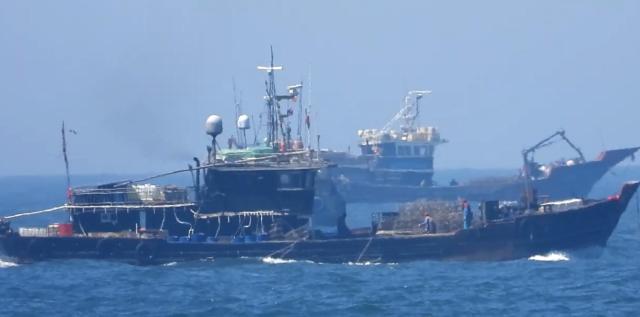Illegal Chinese fishing boat seizures drop to five-year low in first half