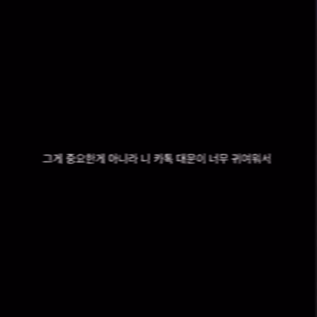 영상사회관계망서비스SNS 캡처