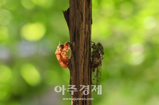 허물을 벗고