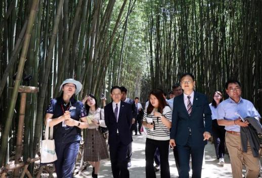 戴兵大使参观蔚山十里竹林