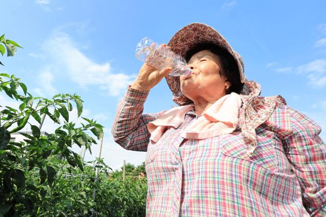 A farmer stops for a drink while authorities warn against farming during daytime as mercury hits above 30 degrees since late July July 27 2026 AJP Han Jun-gu