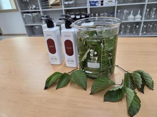Nghiên cứu Hàn Quốc: Chiết xuất cây Sorbus alnifolia cho thấy tiềm năng hỗ trợ giảm rụng tóc