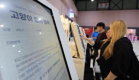2026 Cat Fair Summer draws cat lovers to Seoul