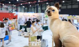 2026 Cat Fair Summer draws cat lovers to Seoul