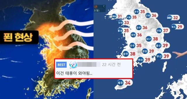 사진MBC 연합뉴스TV 보도 화면 캡처