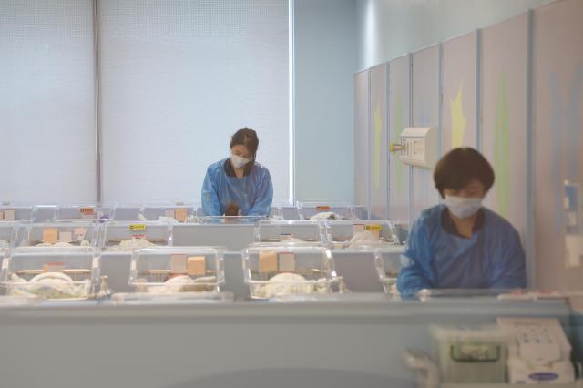 首尔出生人口连续26个月增长 婚姻登记增幅居韩国首位