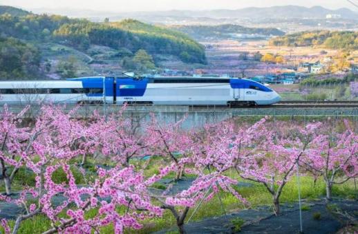 포항~서울·수서 고속열차 9월 1일부터 매일 7회 증편