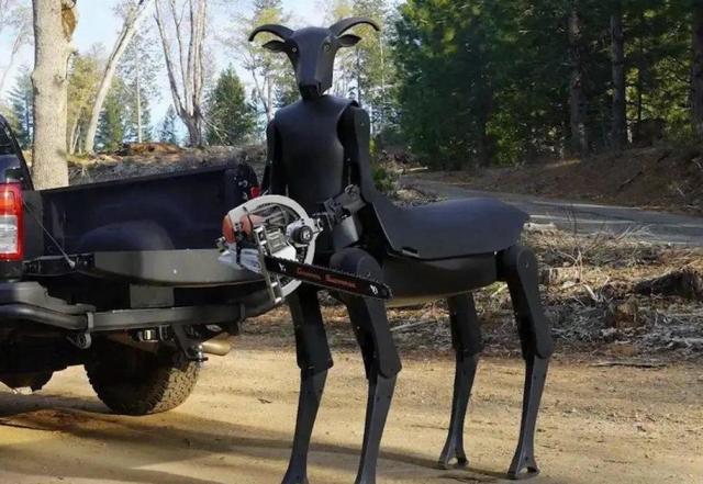 New humanoids break from the two-legged mold 