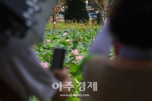 사진한준구 기자 jungu141298ajupresscom
