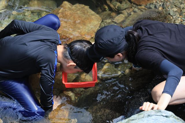 Summer visitors flock to Sanasa valley for relief from the heat