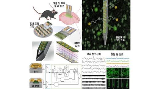 KAIST·엔비디아, AI 공동연구소 설립…5년간 4200억원 투입