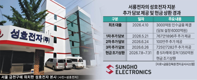서룡전자의 성호전자 지분 담보대출 현황