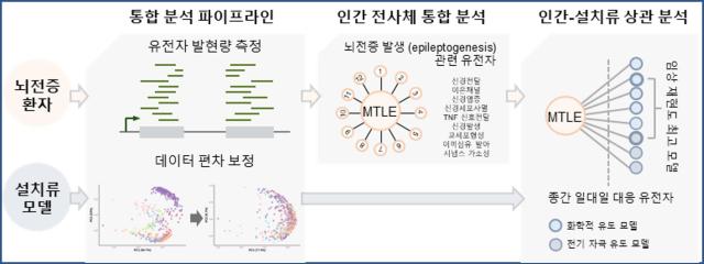 뇌전증환자와 동물모델 데이터를 분석하는 과정 사진세브란스병원