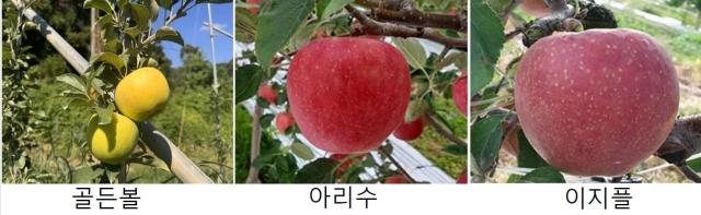 사진상주시