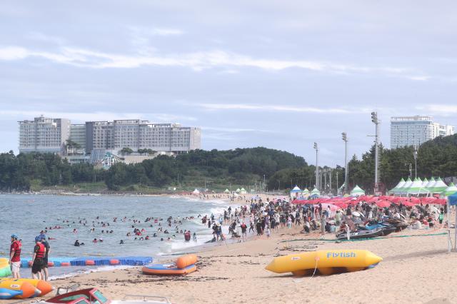 游客住宿消费三项指标齐升 束草旅游市场持续升温 