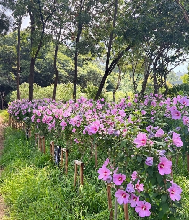 사진경기도