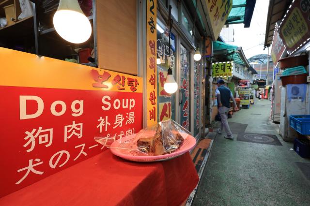 Dog days of summer end, so does Koreas dog meat tradition