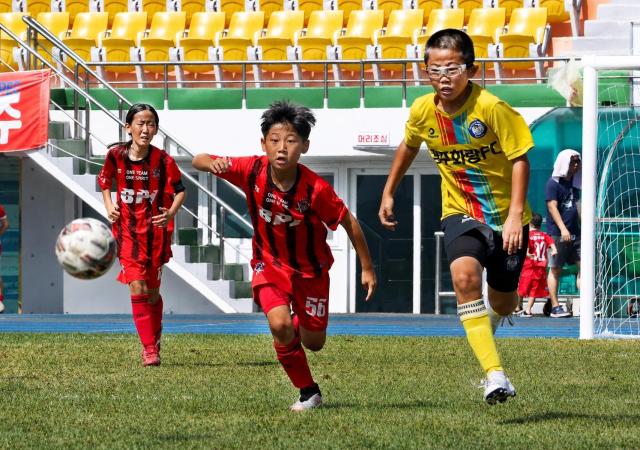 화랑대기 전국 유소년 축구대회에 참가한 선수들이 그라운드에서 뜨거운 승부를 펼치고 있다 사진경주시