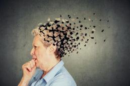 삼성 갤럭시 Z8 동남아·오세아니아 출시…사전판매 60% 급증